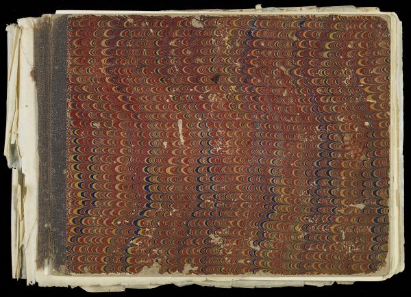Soldier's Diary Ledger
