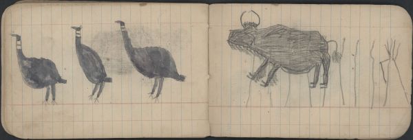 ANIMALS: Buffalo; BIRDS: Killdeer