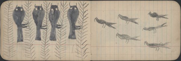 BIRDS: Scissortailed Flycatchers (?); BIRDS: Four Owls Roosted in Trees