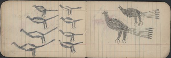 BIRDS: Golden Eagles; BIRDS: Magpies