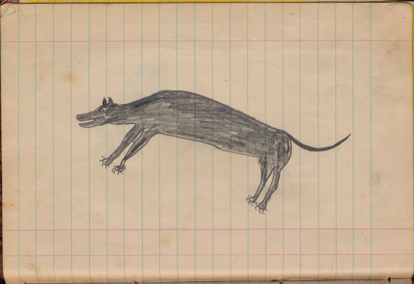A Large Dog