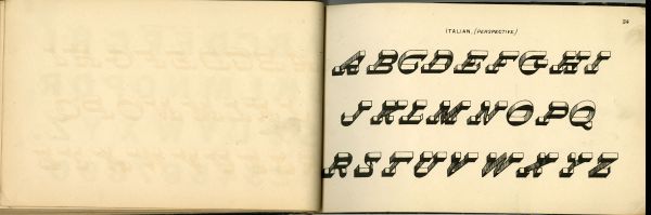 Alternate Plate Image