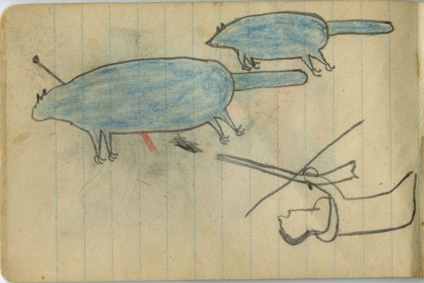 Alternate Plate Image
