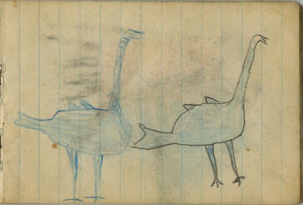 BIRDS: Two Blue Turkeys  