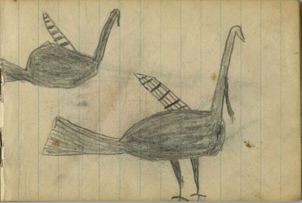 BIRDS: Two Dark Turkeys