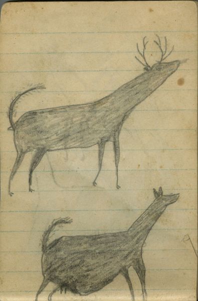 Alternate Plate Image
