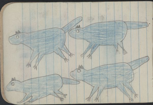 Alternate Plate Image