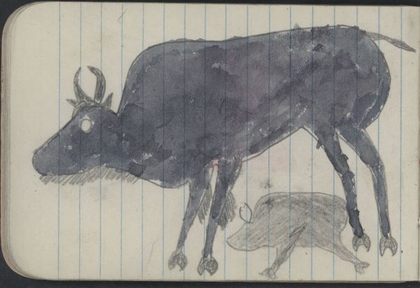 Alternate Plate Image
