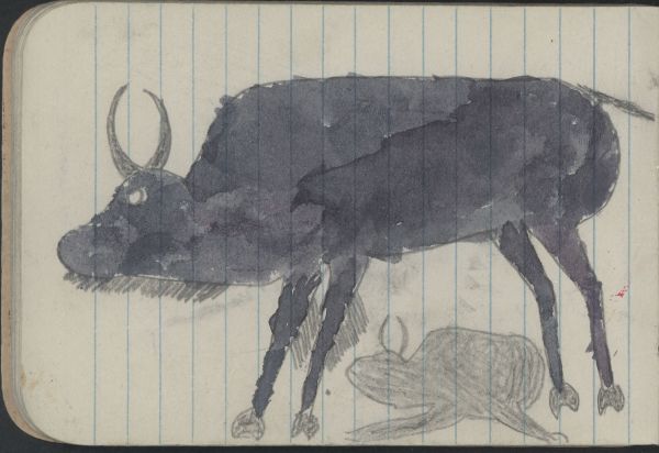 Alternate Plate Image