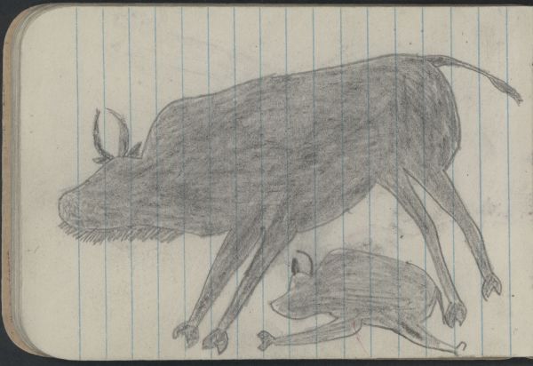 Alternate Plate Image