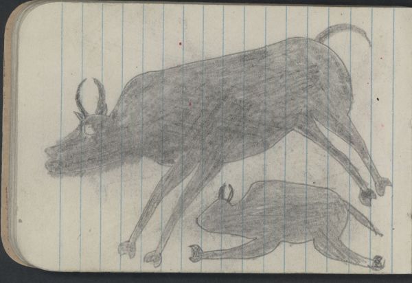 Alternate Plate Image