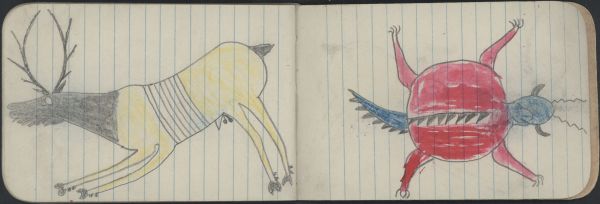 ANIMAL, ELK; ANIMALS, TURTLE