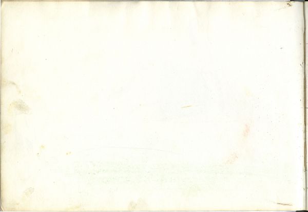 Alternate Plate Image