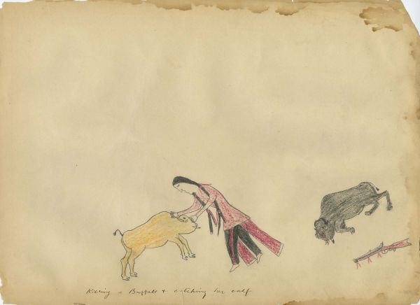 Killing a Buffalo and Catching Her Calf