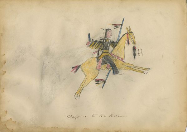 Alternate Plate Image