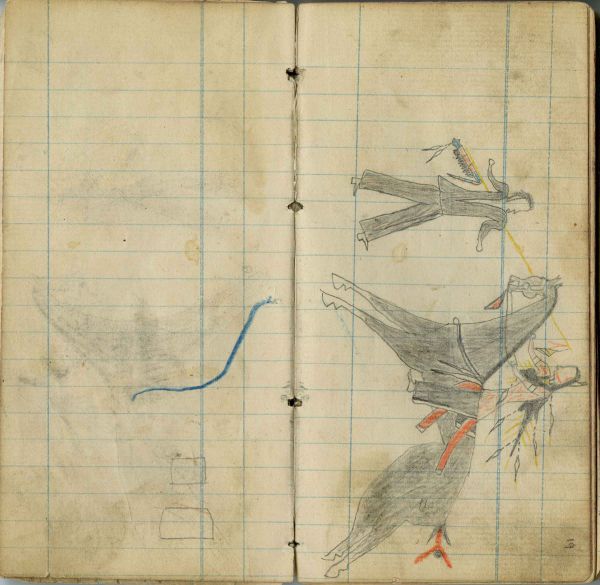 Alternate Plate Image