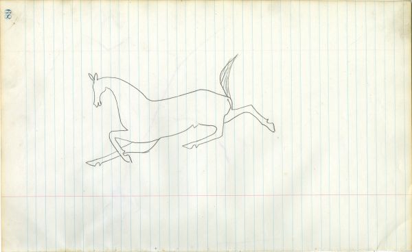 Outline of a horse 