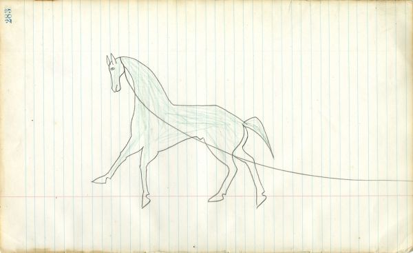 Blue horse with long halter