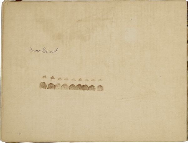Alternate Plate Image