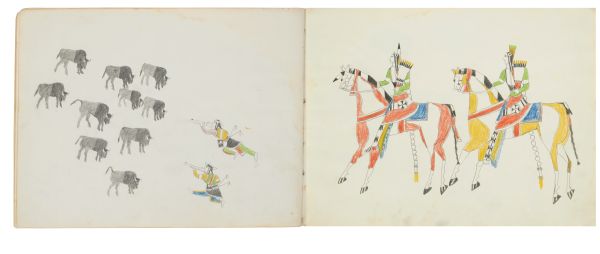 Alternate Plate Image