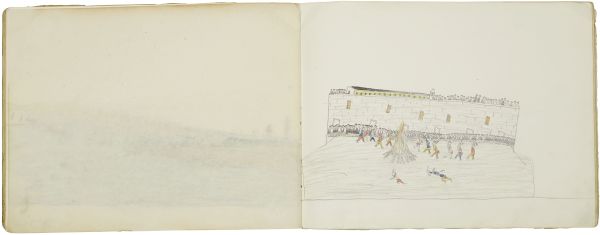 Alternate Plate Image