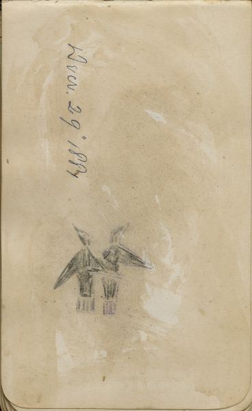 Alternate Plate Image