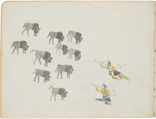 Alternate Plate Image